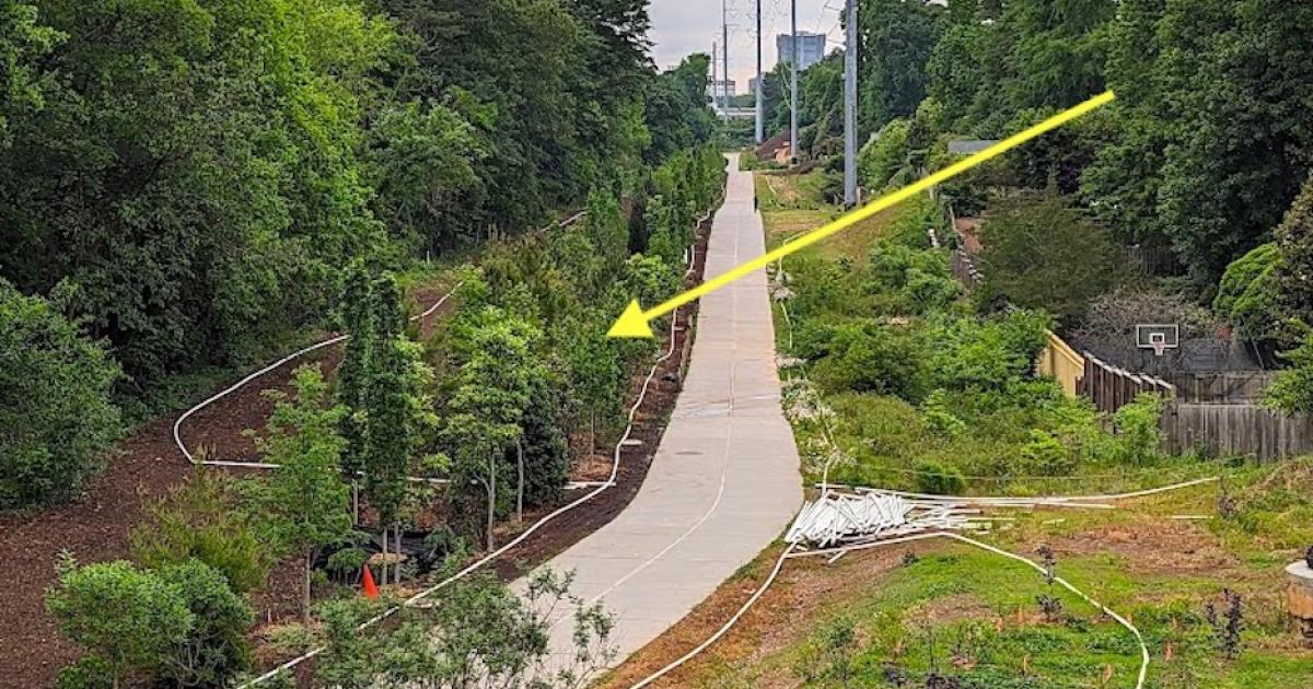 An 'instant forest' has sprouted on the Atlanta BeltLine Urbanize Atlanta
